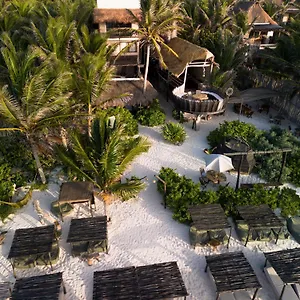 Hotel Orchid House (adults Only)