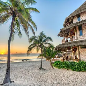 **** Hotel Alaya By Ahau Collection Mexico